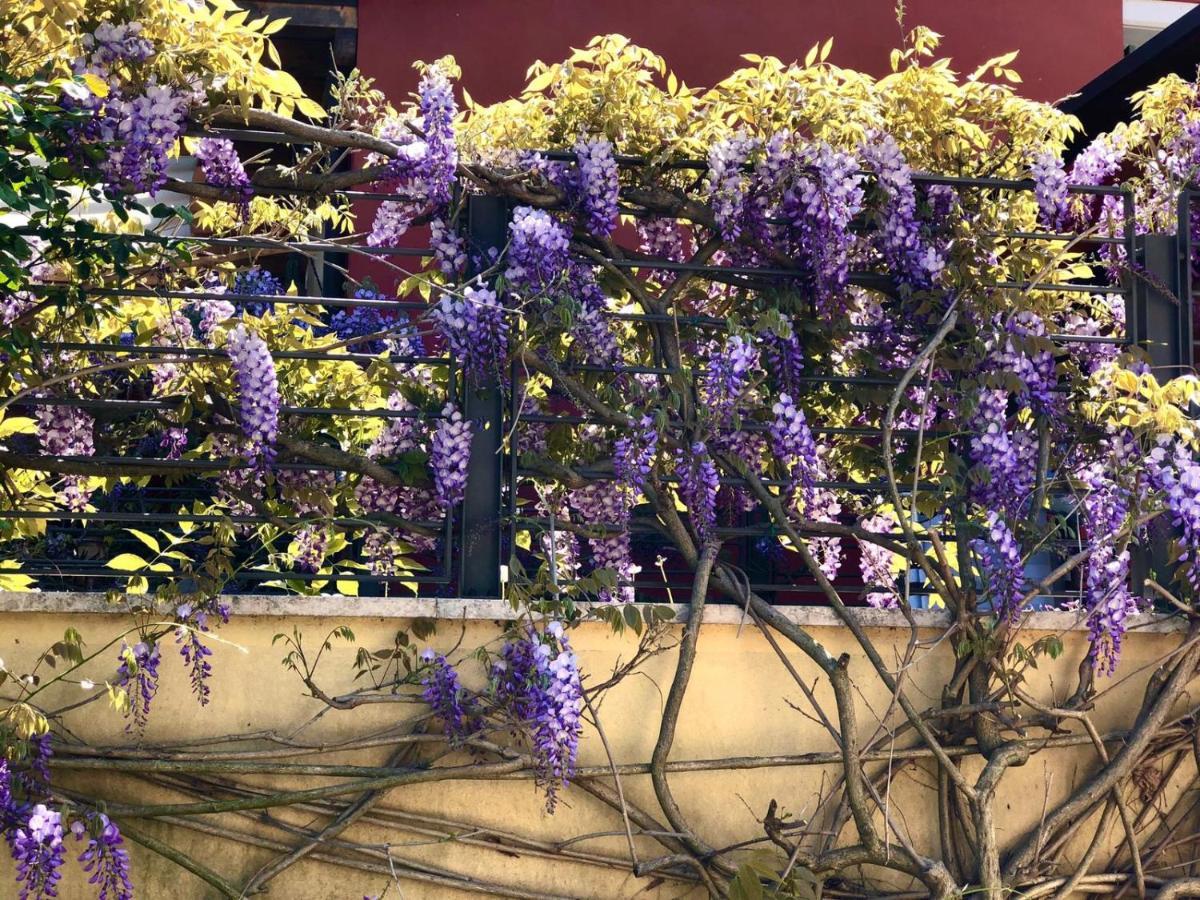 Hotel La Casa del Glicine Tarzo Esterno foto