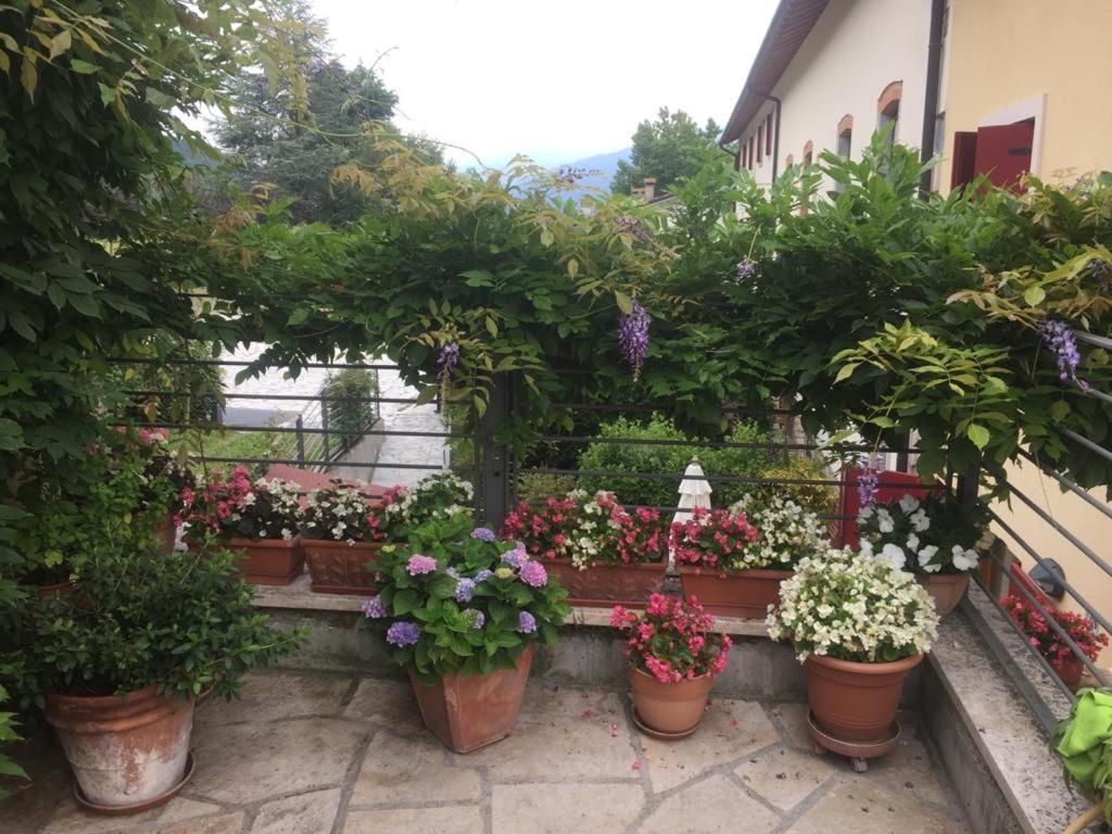 Hotel La Casa del Glicine Tarzo Esterno foto
